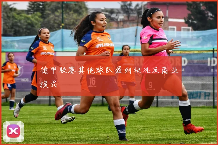 德甲联赛其他球队盈利状况及商业模式